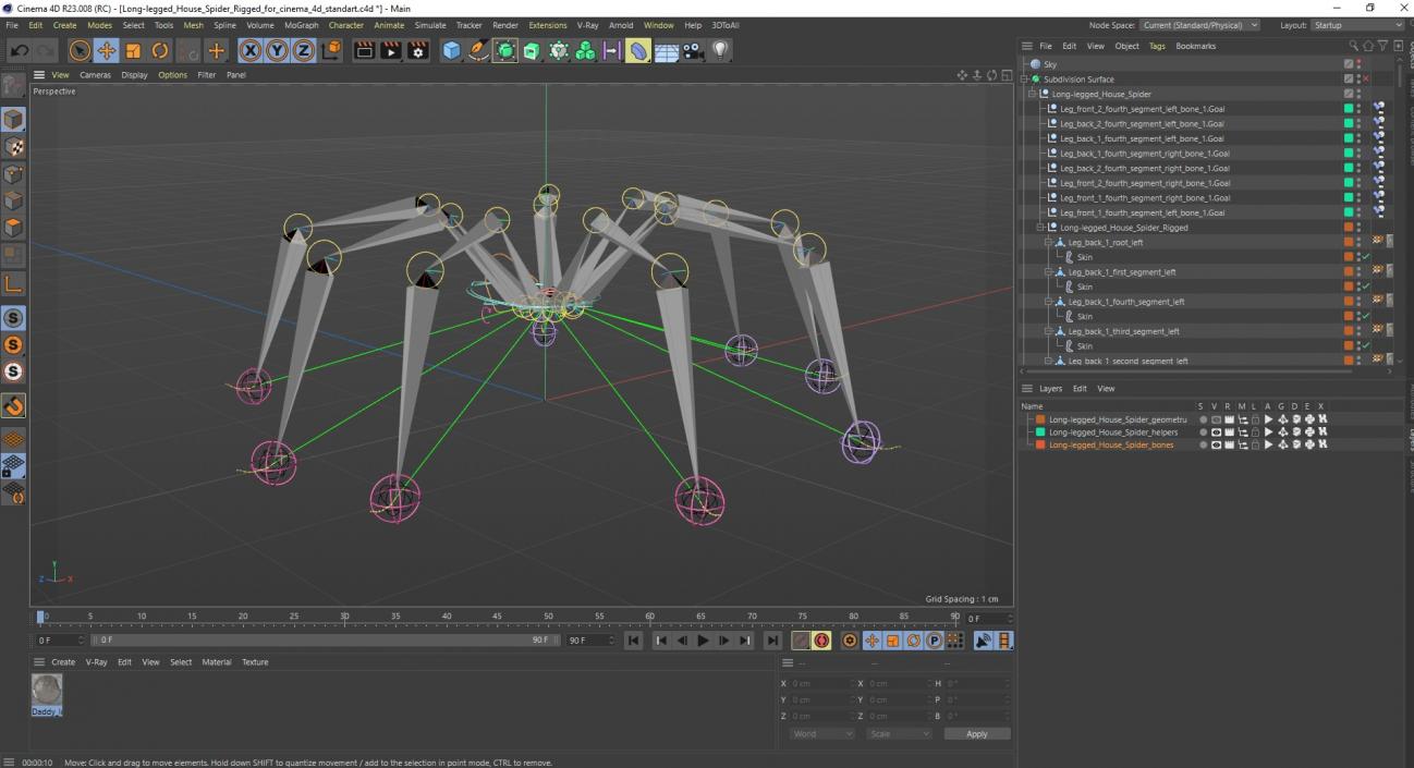 Long-legged House Spider Rigged for Cinema 4D 2 3D