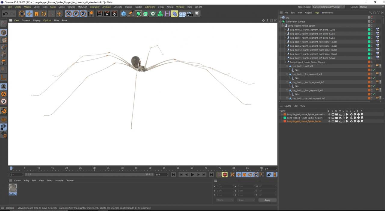 Long-legged House Spider Rigged for Cinema 4D 2 3D