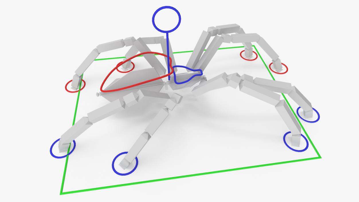 Argiope Trifasciata Spider Rigged for Cinema 4D 3D