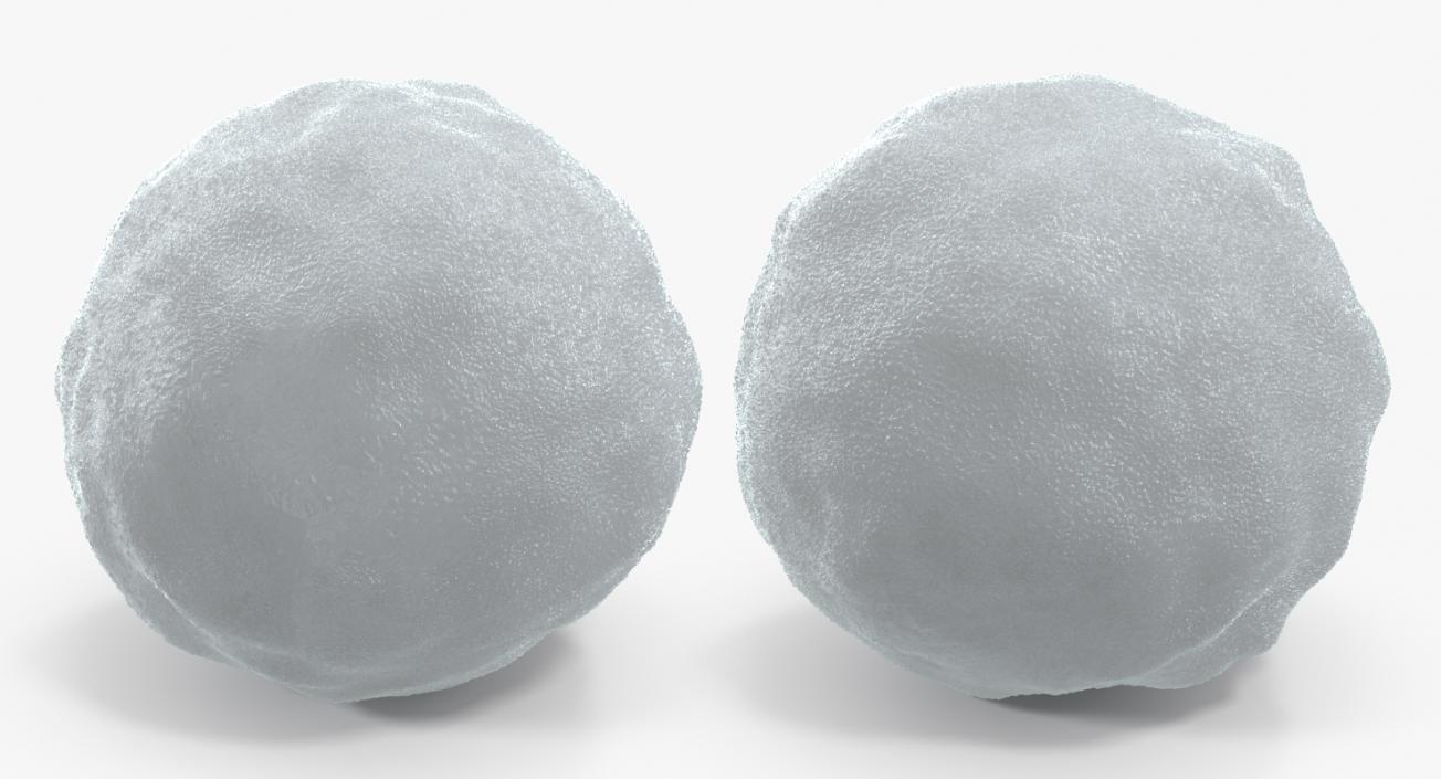 3D model Snowball