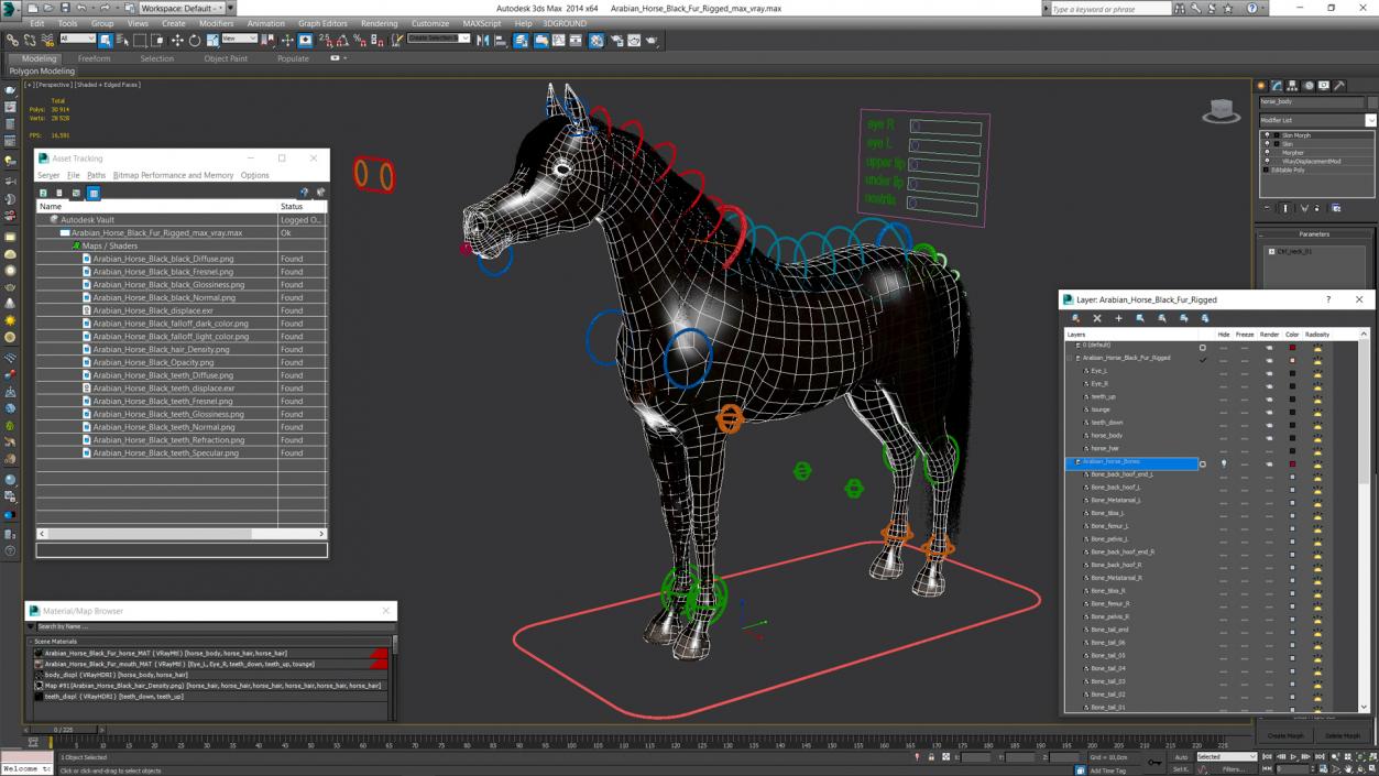 3D model Arabian Horse Black Fur Rigged