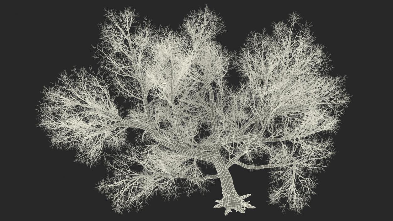 3D Big Bare Tree model