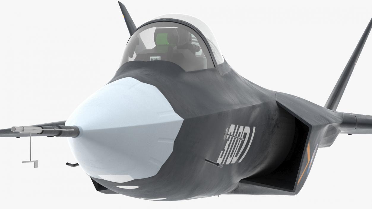 3D Shenyang FC 31 Multirole Jet Fighter Flight model