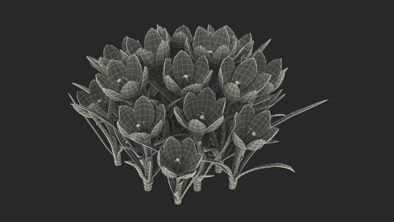 3D model Flowering Plants Collection 11