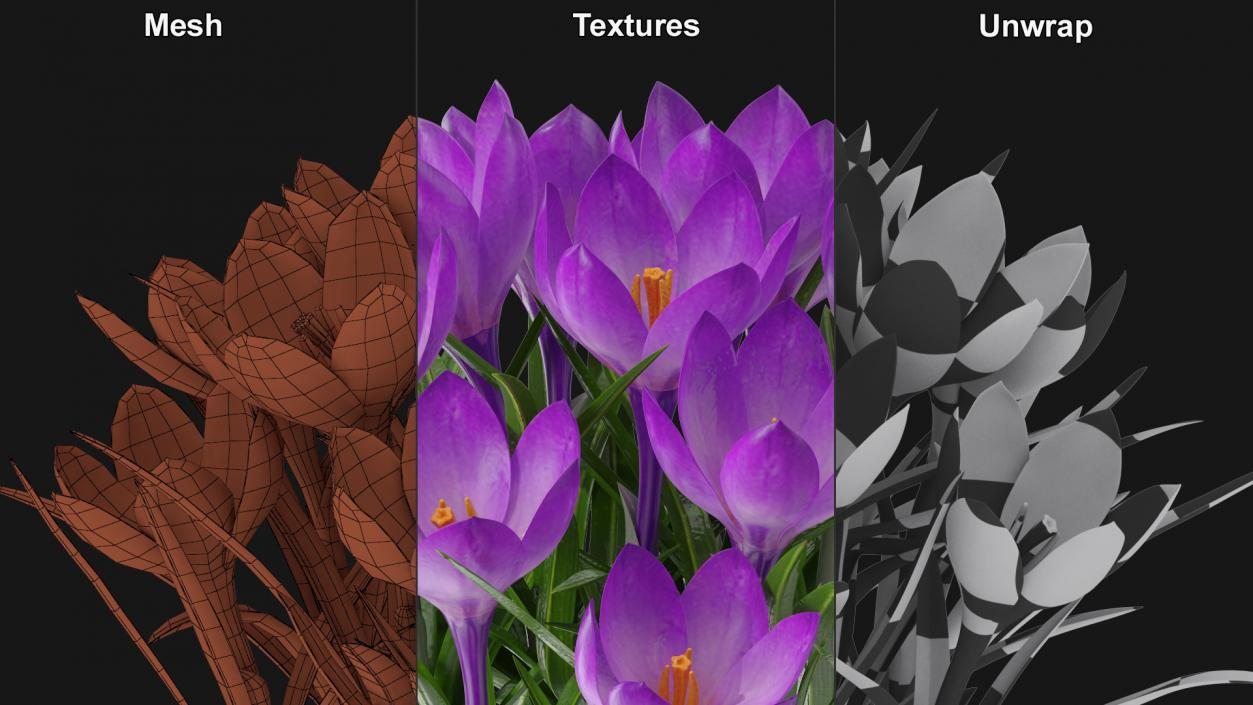 3D model Flowering Plants Collection 11