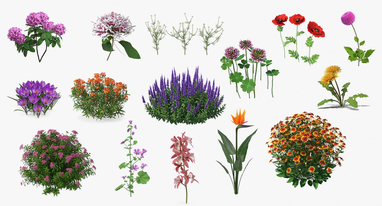 3D model Flowering Plants Collection 11