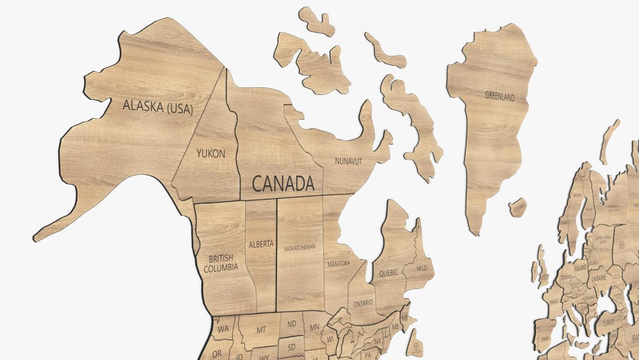 3D Wooden Wall World Map