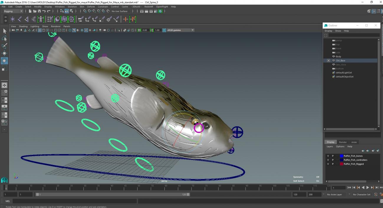 Puffer Fish Rigged for Maya 3D