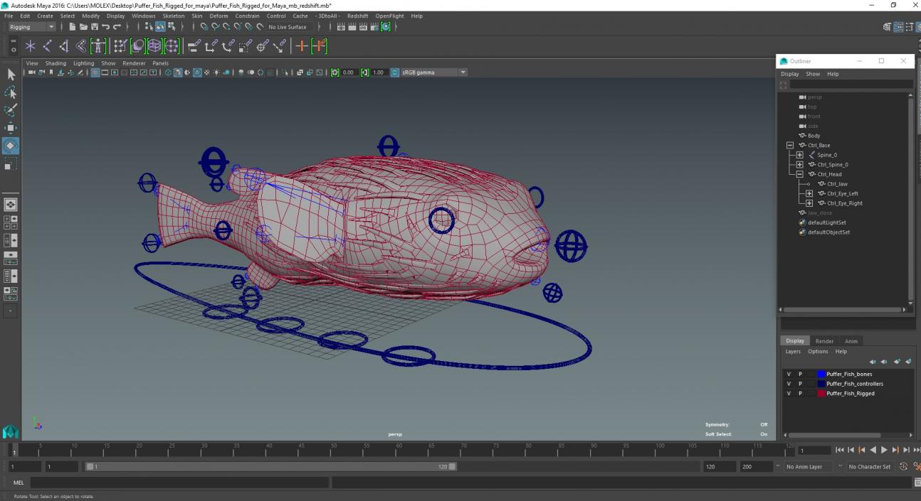 Puffer Fish Rigged for Maya 3D