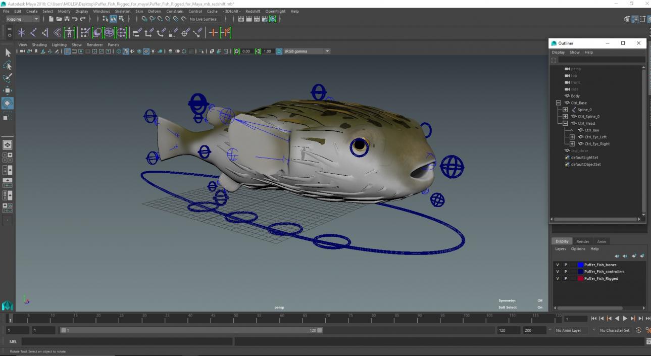 Puffer Fish Rigged for Maya 3D