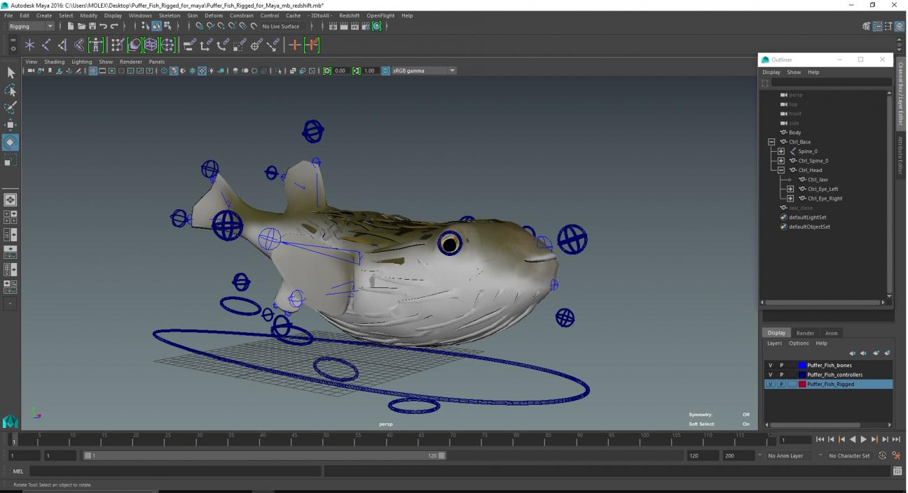 Puffer Fish Rigged for Maya 3D