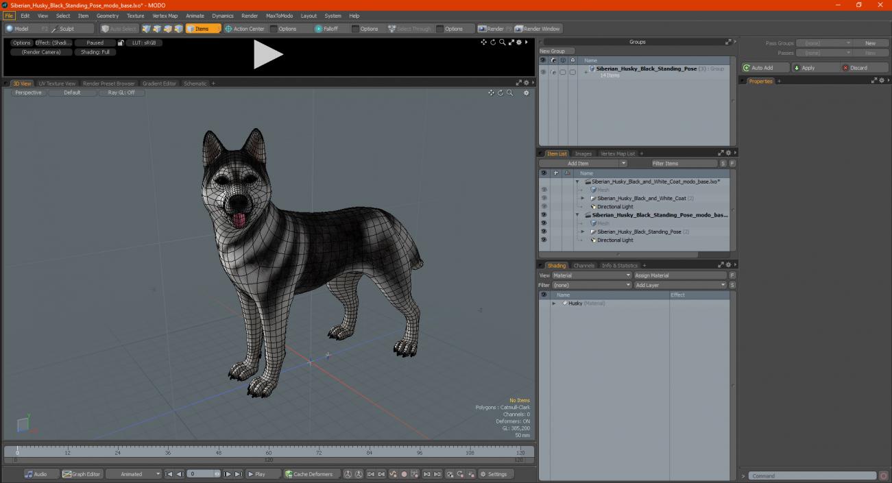 Siberian Husky Black Standing Pose 3D model