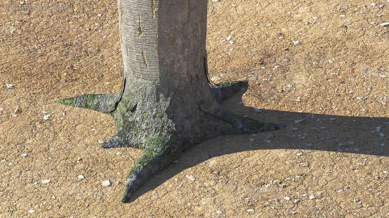 3D Dragon Blood Tree Trunk model