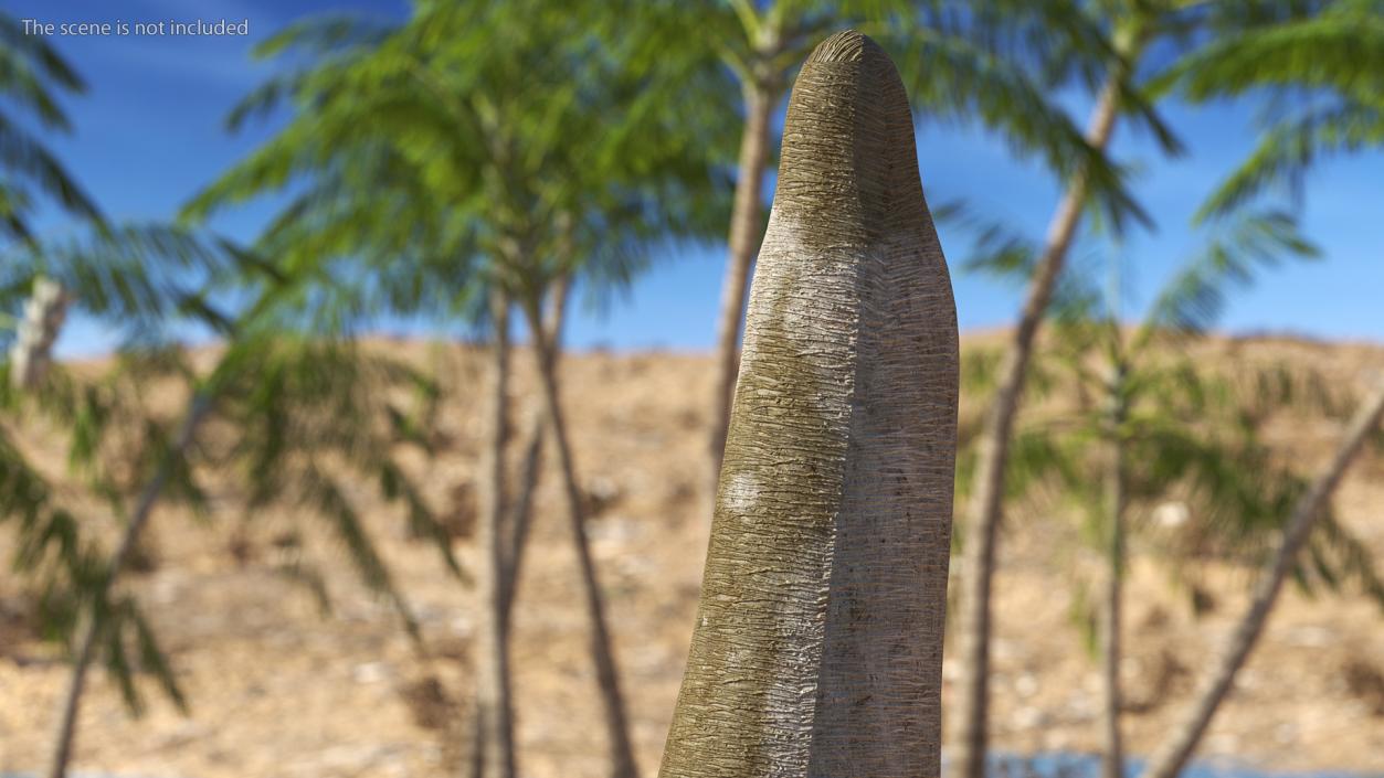 3D Dragon Blood Tree Trunk model