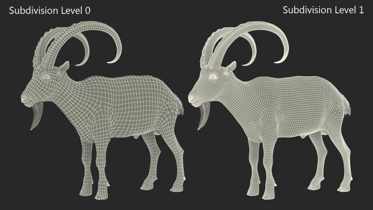 3D Alpine Ibex Stand Pose Fur 2 model