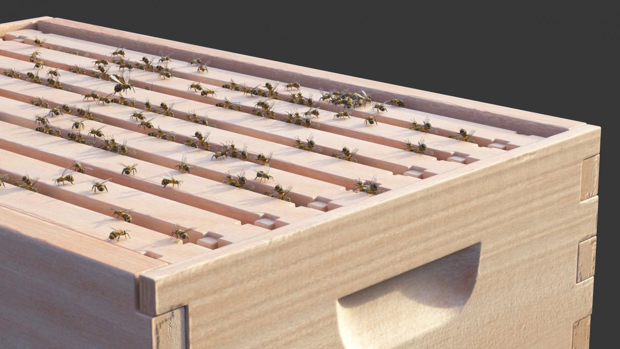 Brood Box Cedar 8 Frames 3D model