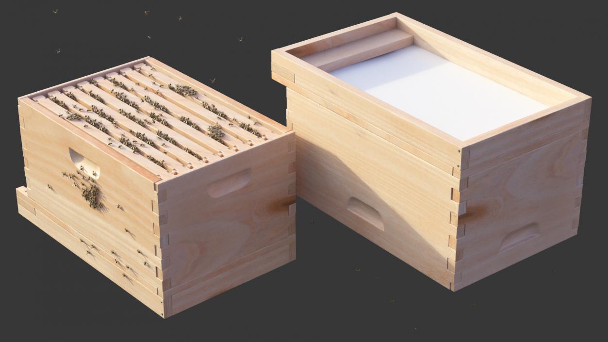 Brood Box Cedar 8 Frames 3D model