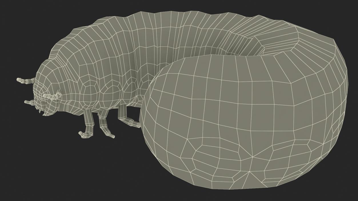 3D Maggot May Bug Rigged