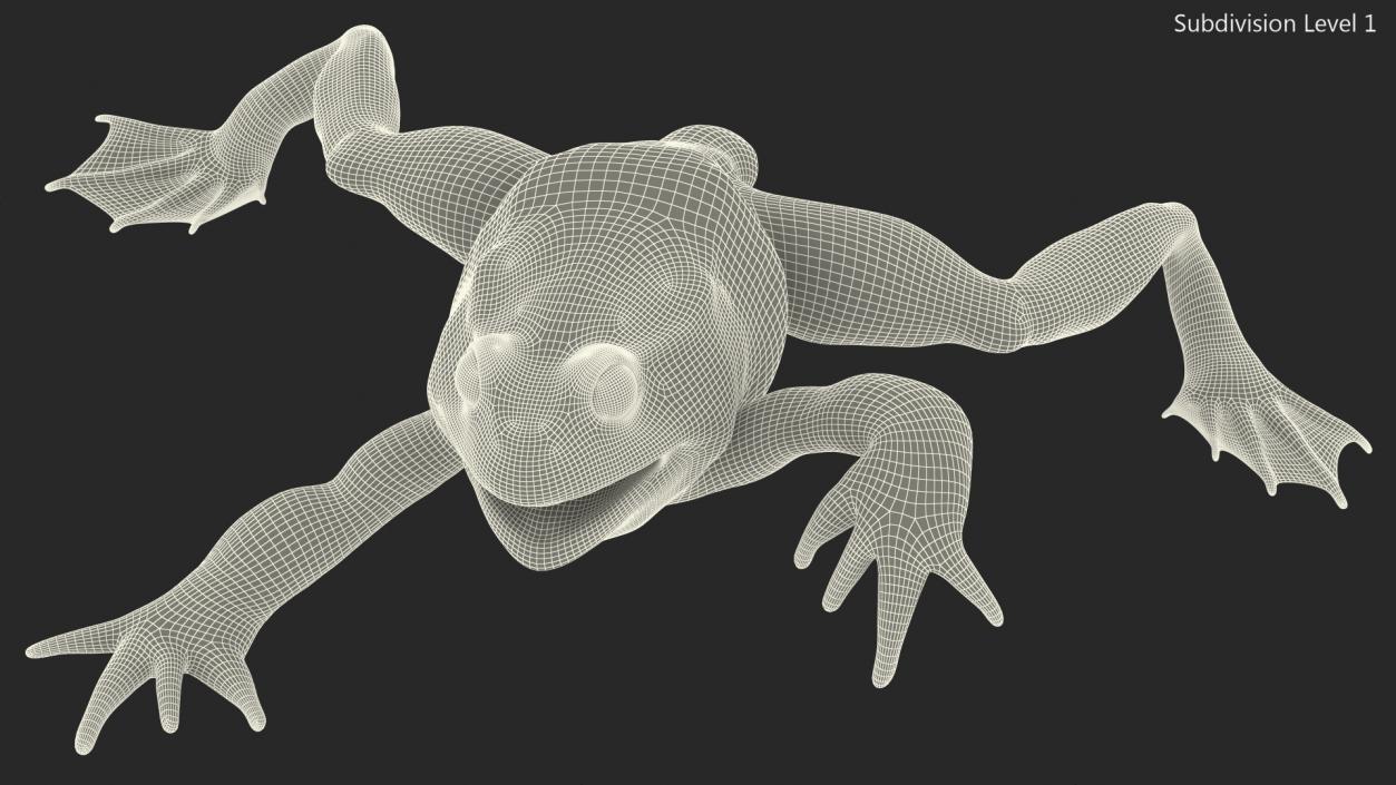 Froglet Rigged 3D model