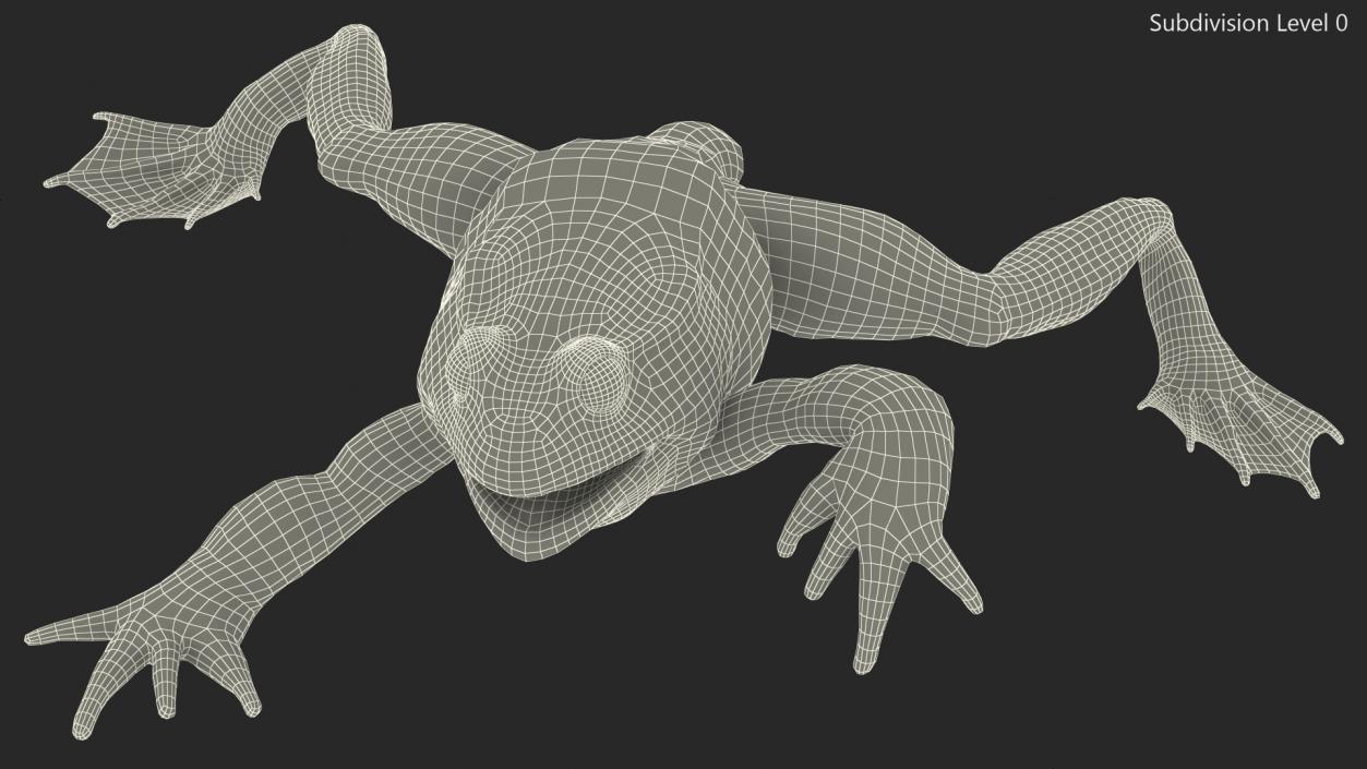 Froglet Rigged 3D model