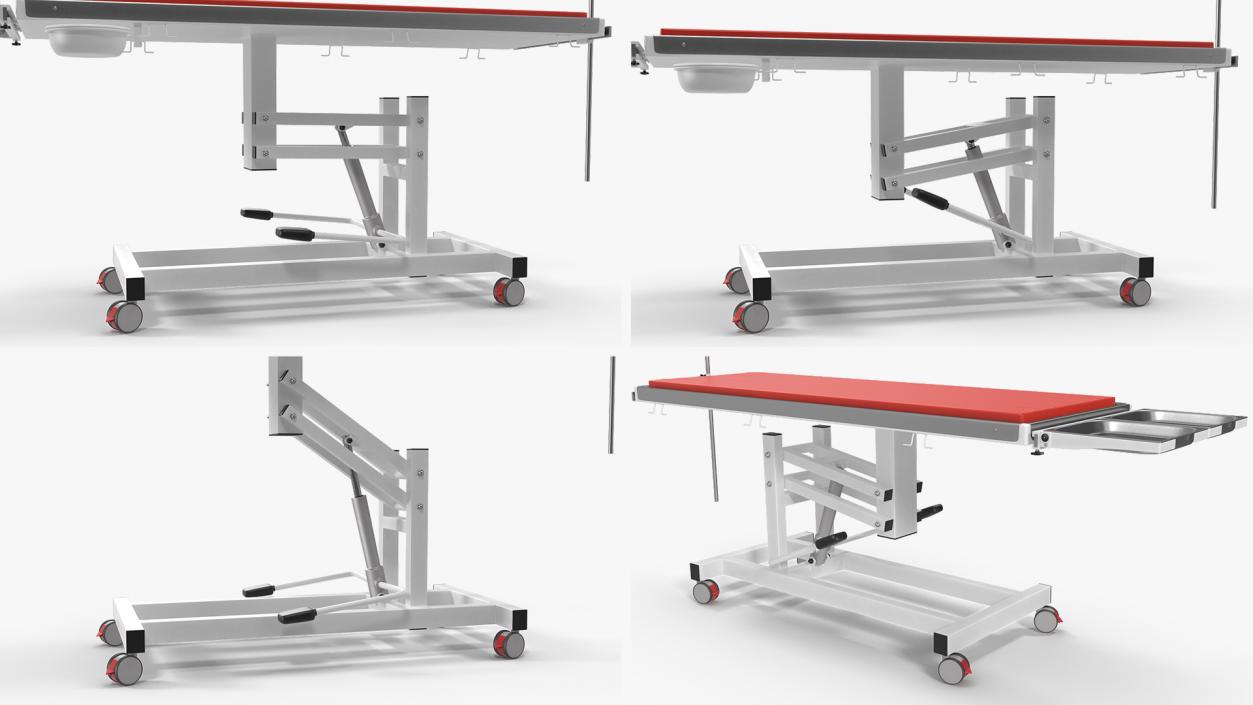 3D model Veterinary Examination Table Rigged