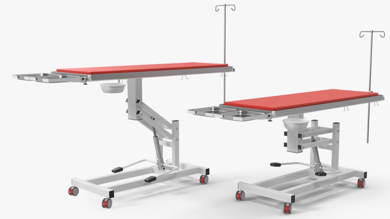 3D model Veterinary Examination Table Rigged