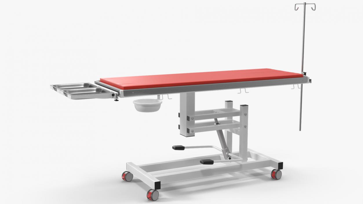 3D model Veterinary Examination Table Rigged