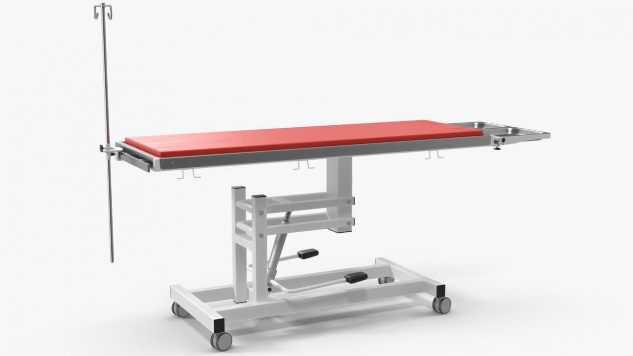 3D model Veterinary Examination Table Rigged