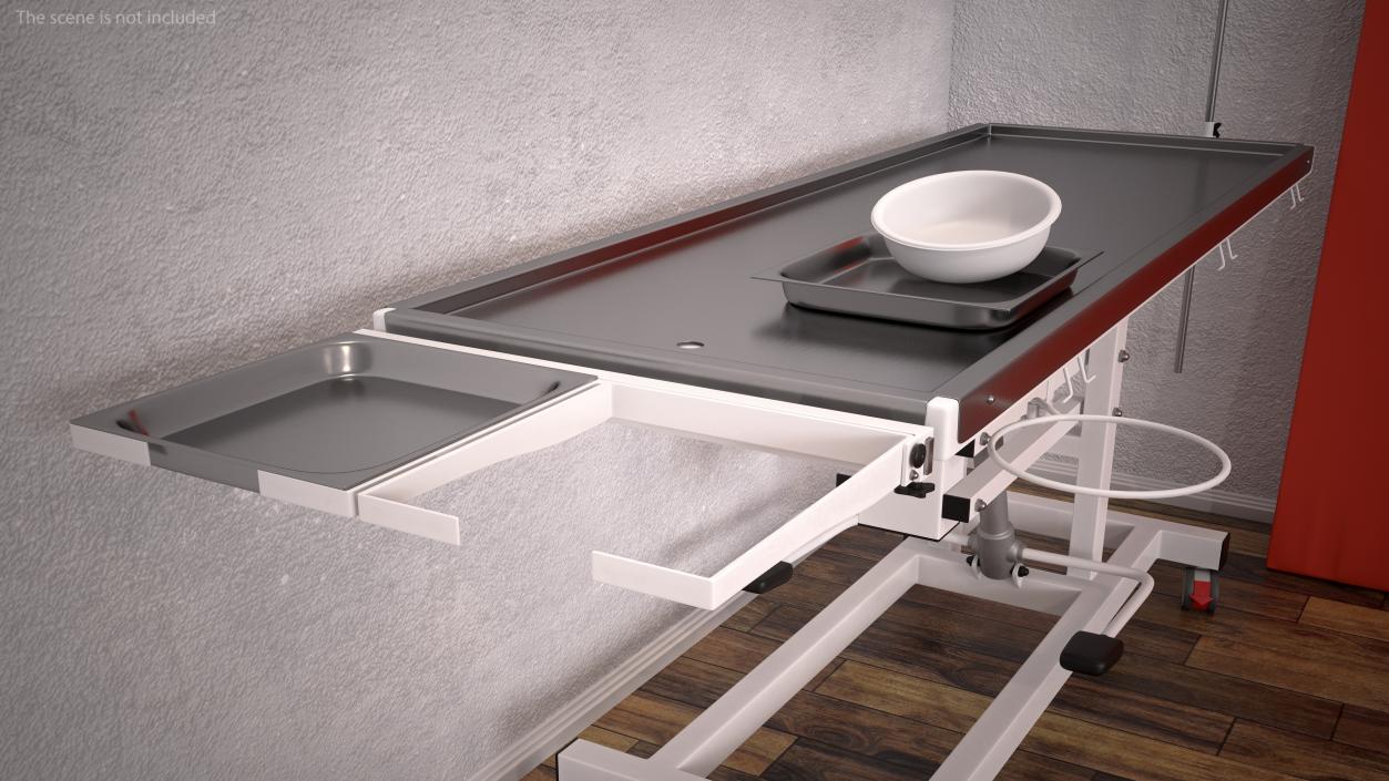 3D model Veterinary Examination Table Rigged