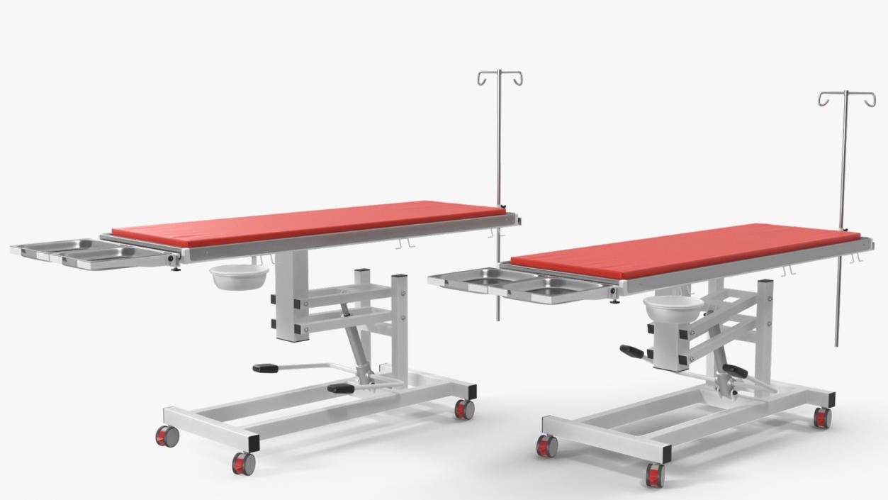 3D model Veterinary Examination Table Rigged