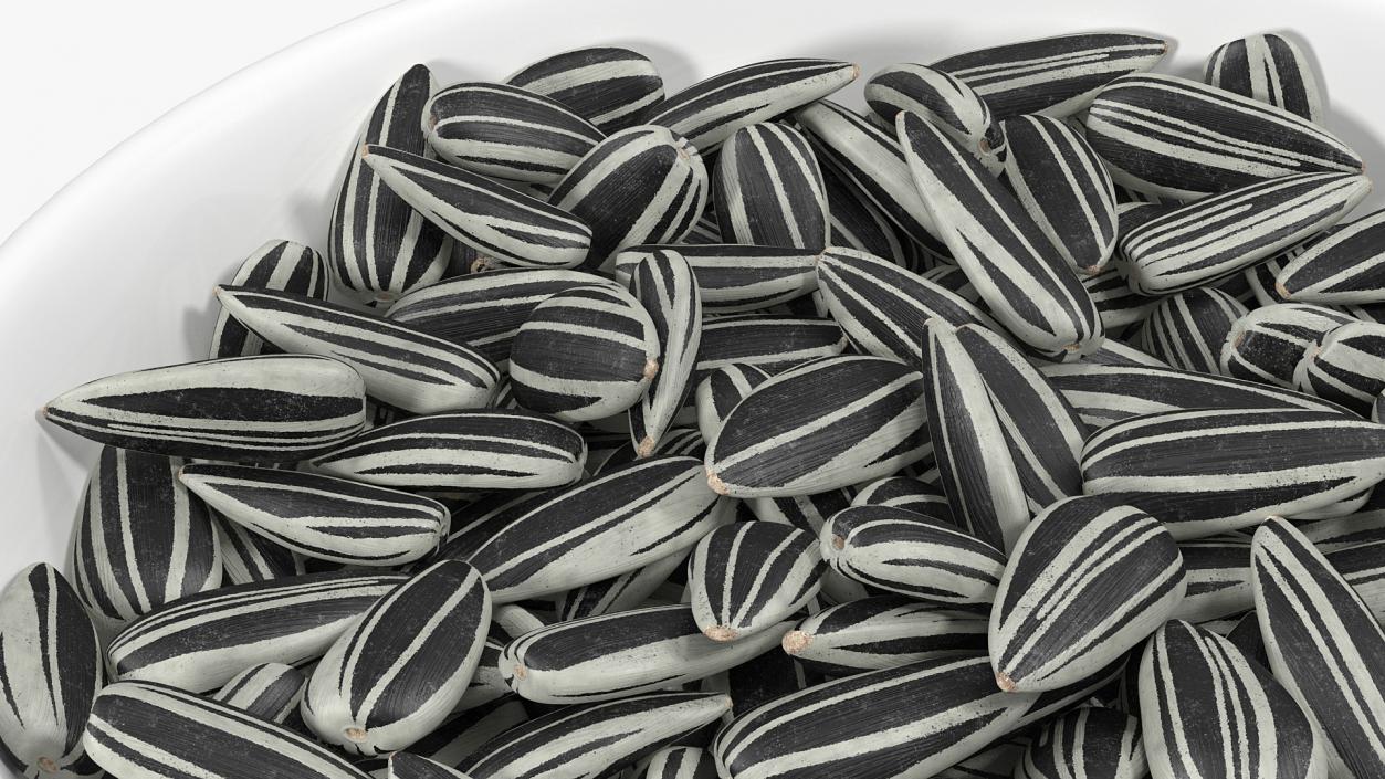 3D Striped Sunflower Seeds in a Bowl model