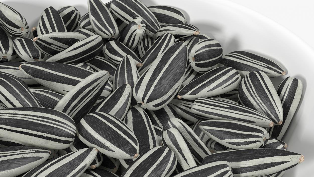 3D Striped Sunflower Seeds in a Bowl model