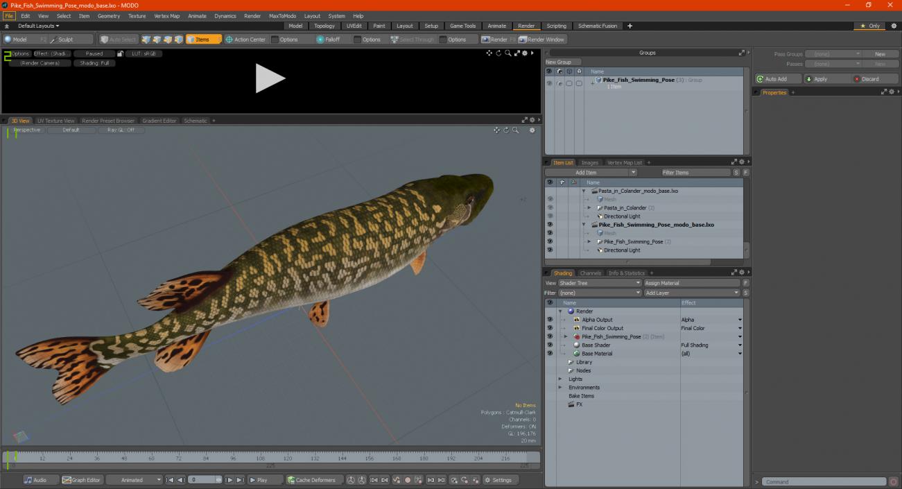 3D Pike Fish Swimming Pose model