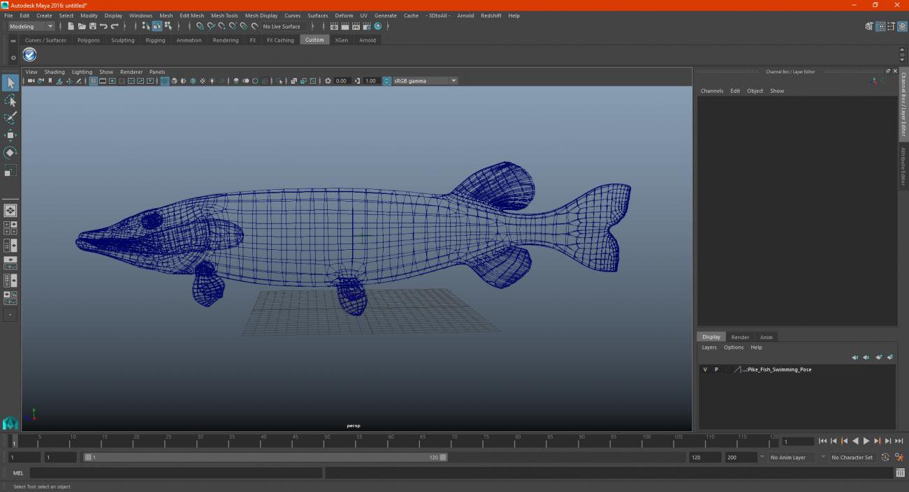 3D Pike Fish Swimming Pose model