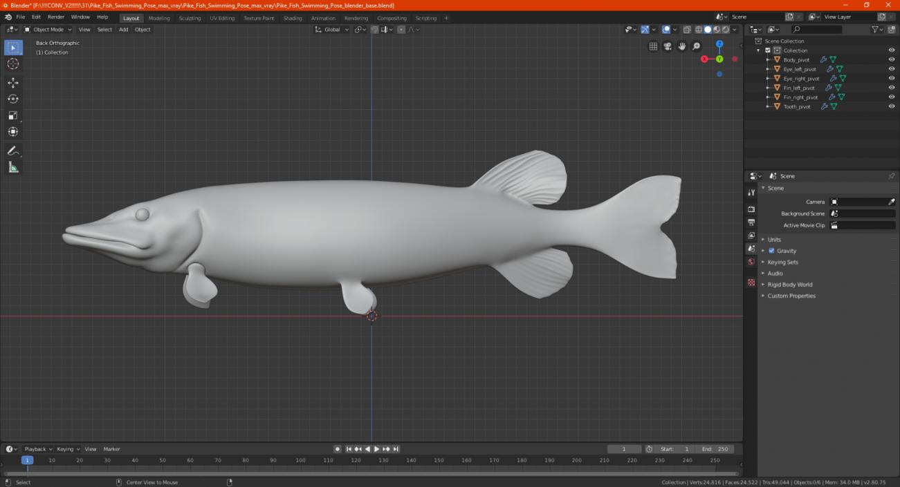 3D Pike Fish Swimming Pose model