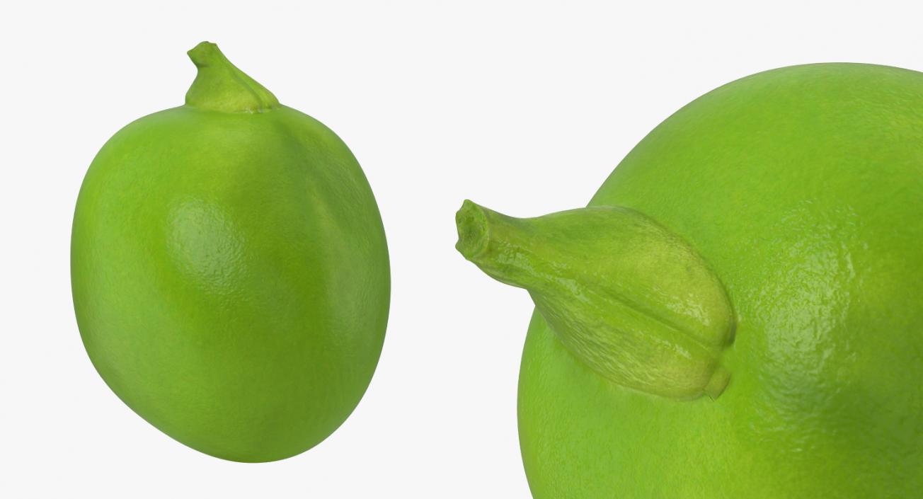 Open Green Peas Pod 3D model