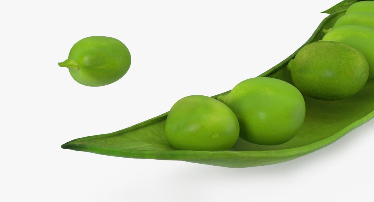 Open Green Peas Pod 3D model