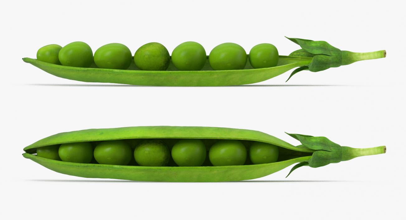 Open Green Peas Pod 3D model