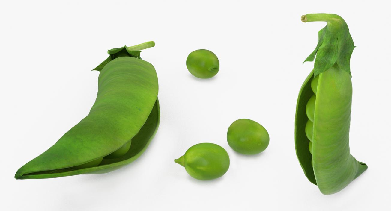 Open Green Peas Pod 3D model