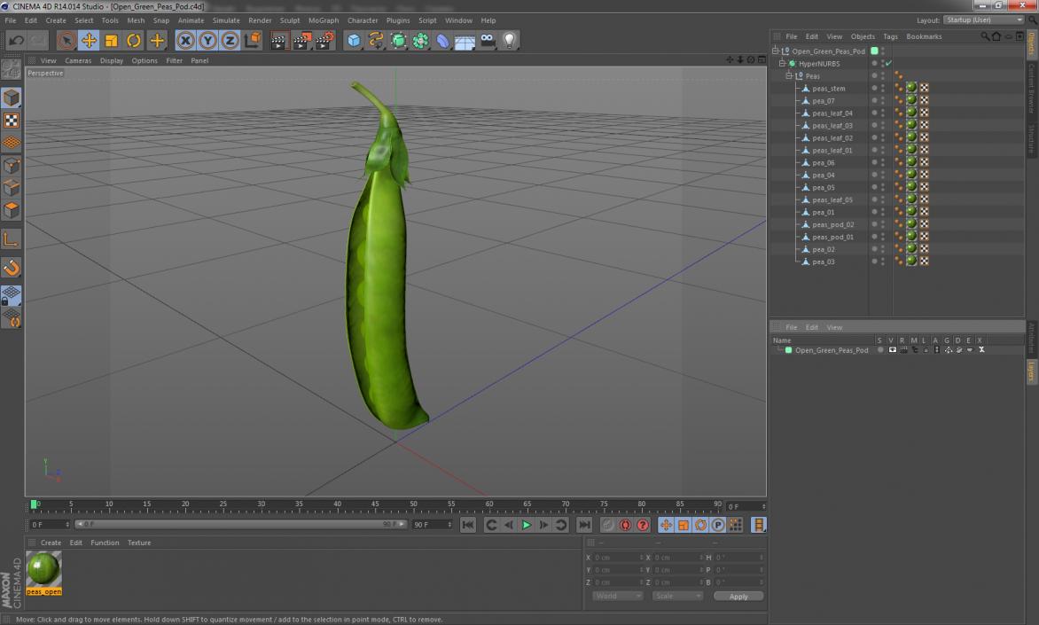 Open Green Peas Pod 3D model