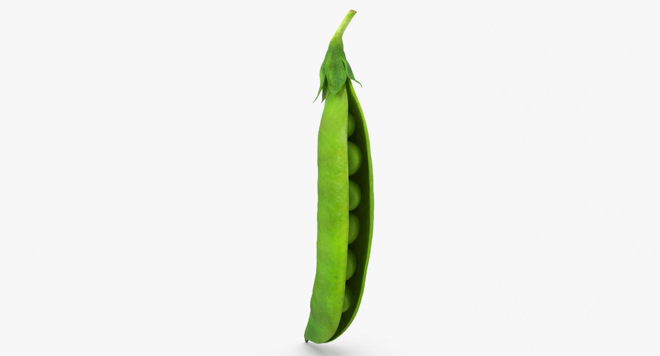 Open Green Peas Pod 3D model