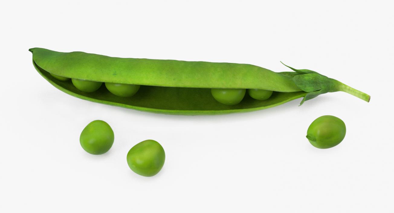 Open Green Peas Pod 3D model