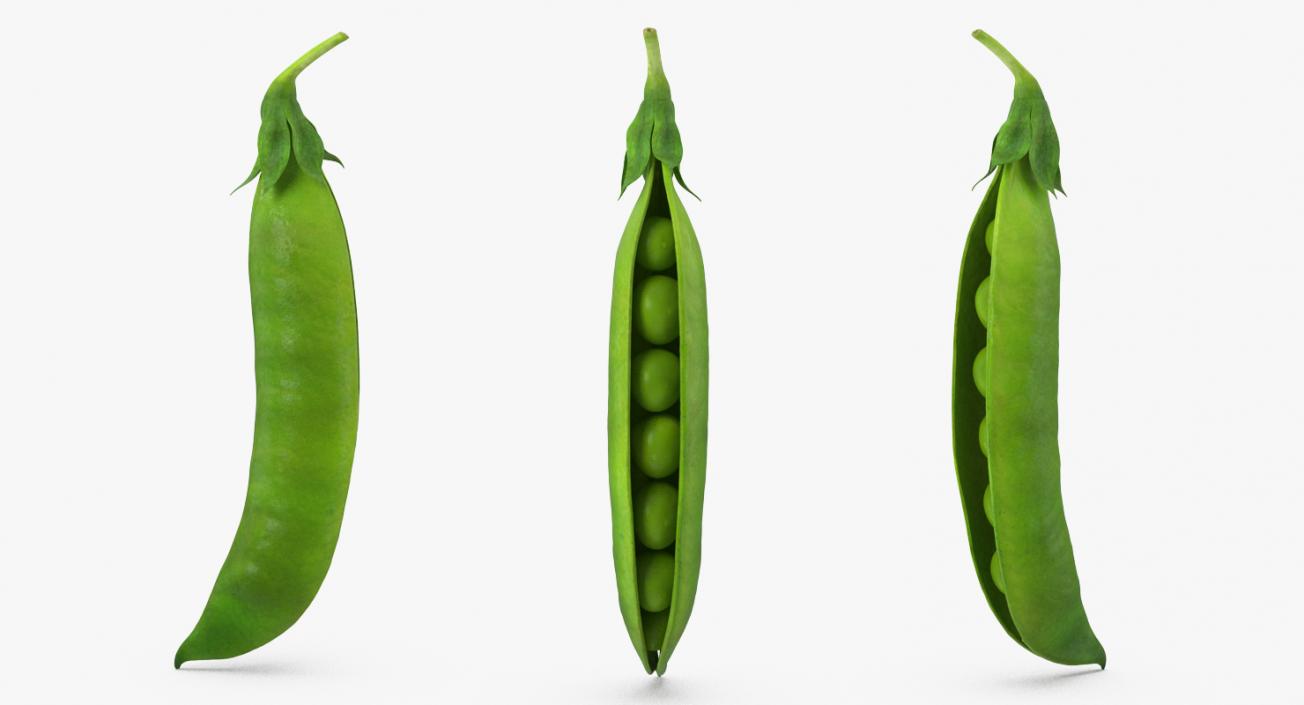 Open Green Peas Pod 3D model