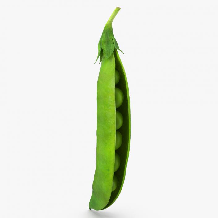 Open Green Peas Pod 3D model