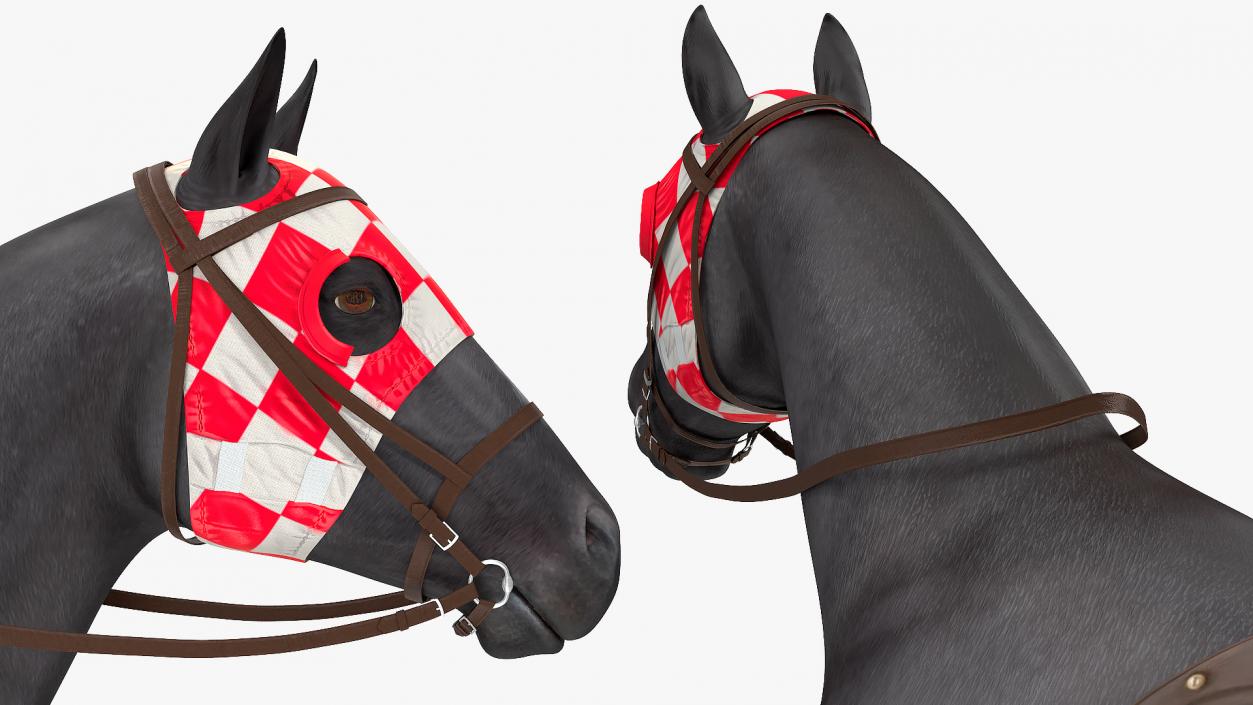 3D model Racehorse Black