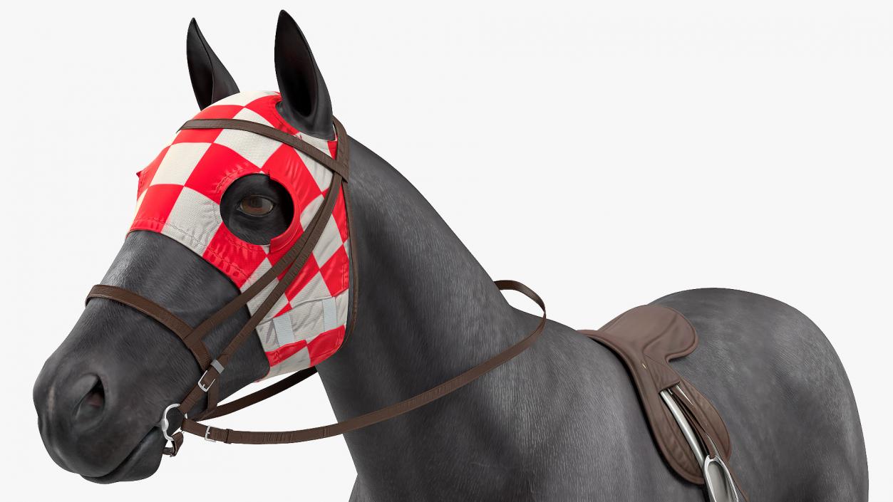 3D model Racehorse Black