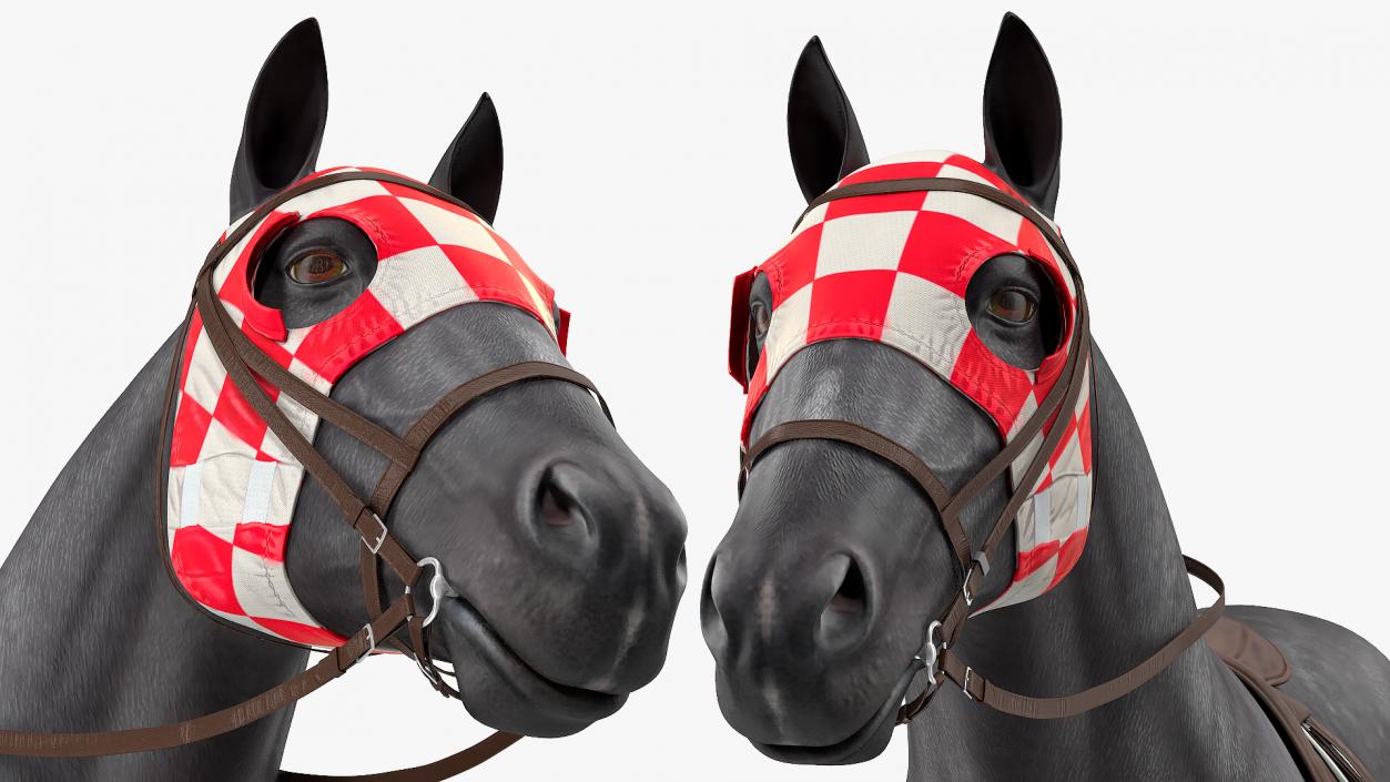 3D model Racehorse Black