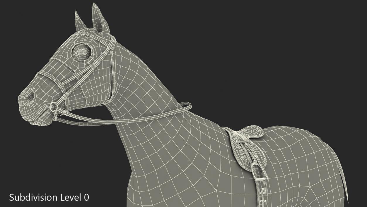 3D model Racehorse Black