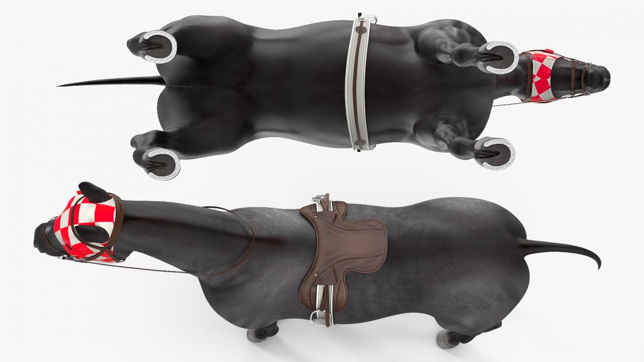 3D model Racehorse Black