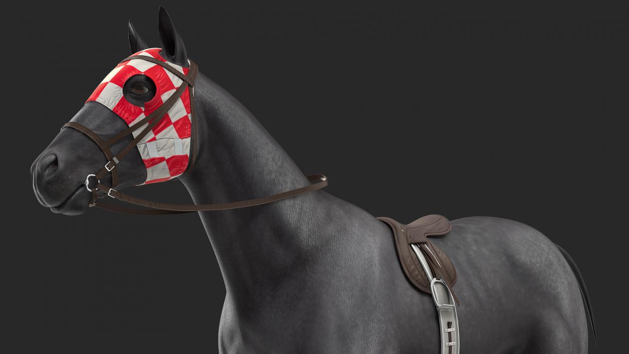 3D model Racehorse Black